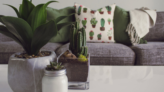 La-Z-Boy: Navigating The Economic Jungle In A Surprisingly Comfortable Chair