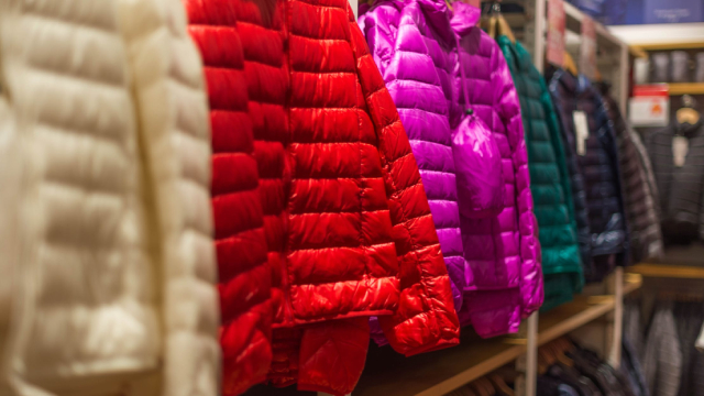 Coach Parent Tapestry Lifts Full-Year Outlook, Says Tariffs 'Immaterial'