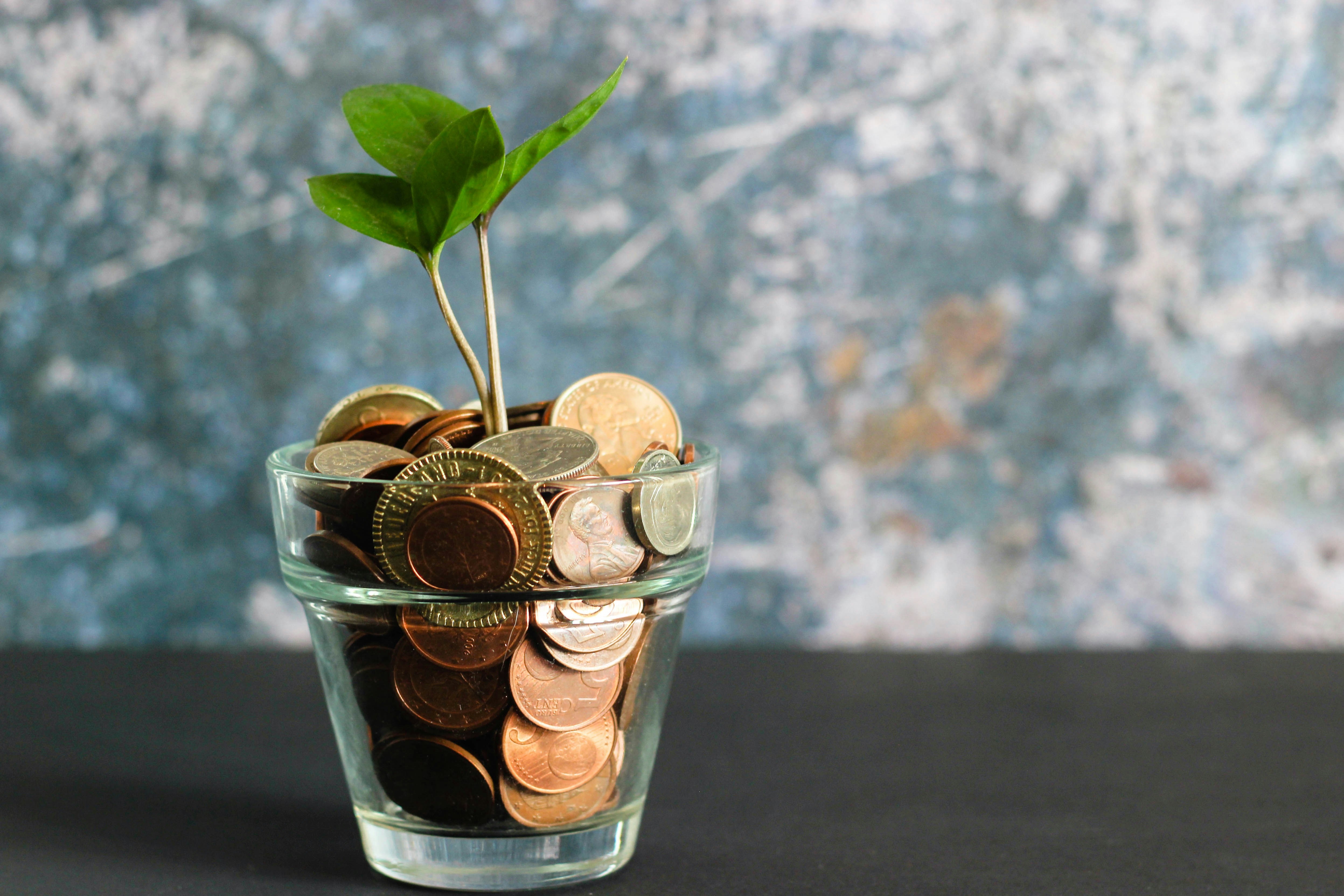 Money market fund vs savings account: 5 key points
